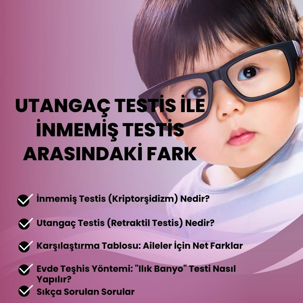 Utangaç Testis ile İnmemiş Testis Arasındaki Fark Nedir