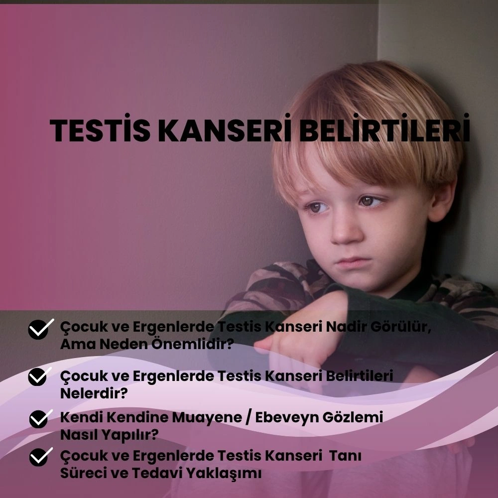 Testis kanseri belirtileri