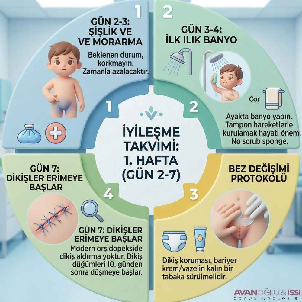 Bebeği inmemiş testis ameliyatı olanlar