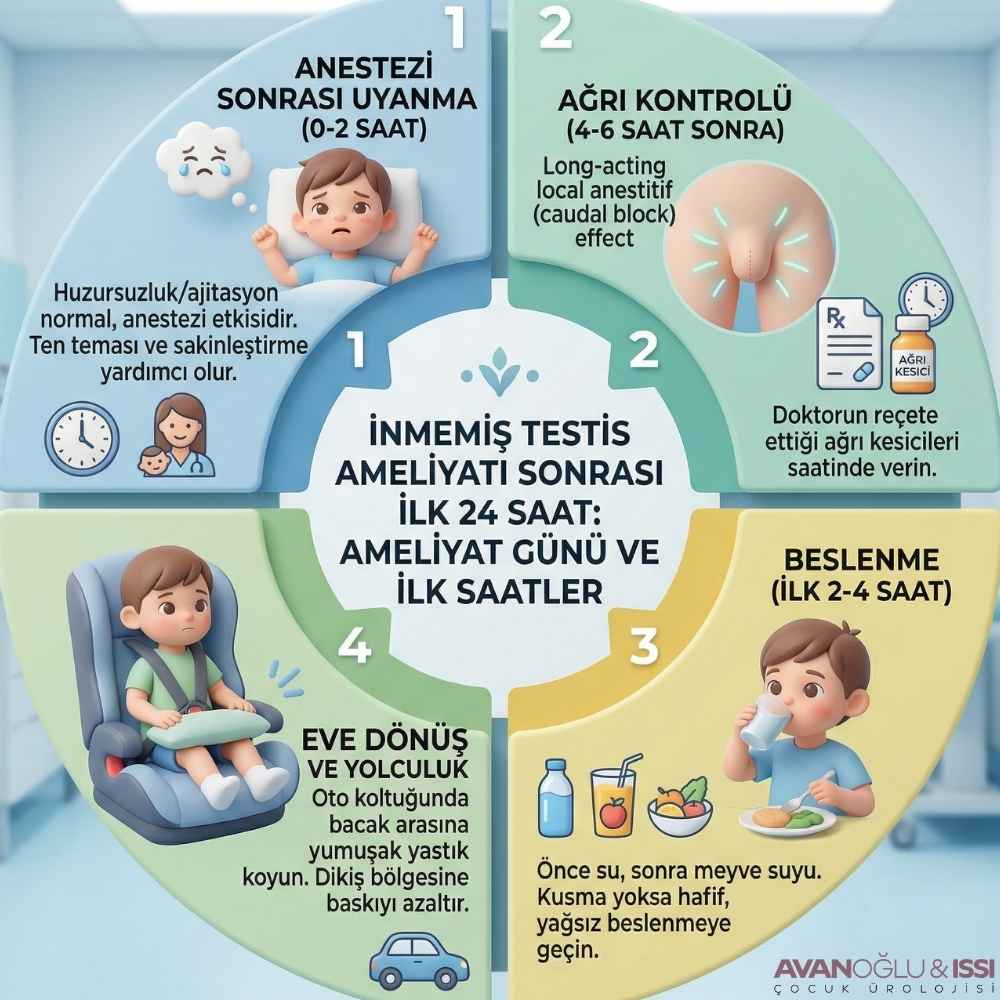 İnmemiş testis ameliyatı kaç günde iyileşir