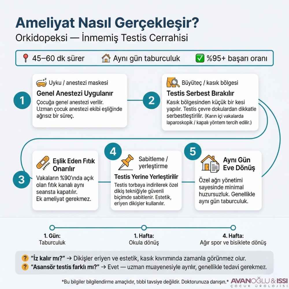 10 yaşında inmemiş testis ameliyatı Kadınlar Kulübü
