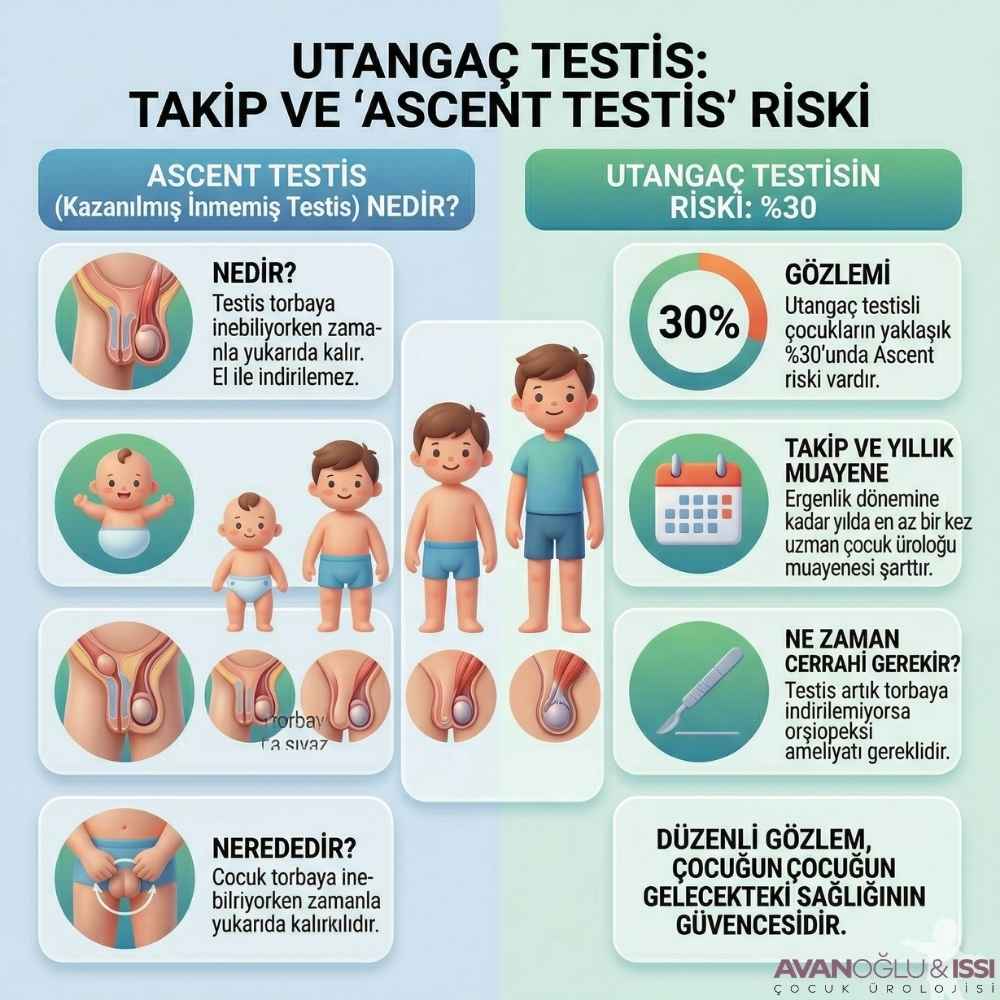 İnmemiş testis nasıl anlaşılır