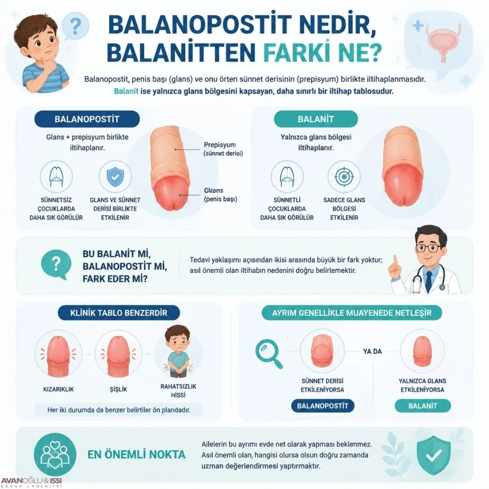 Balanopostit ile balanit arasındaki fark