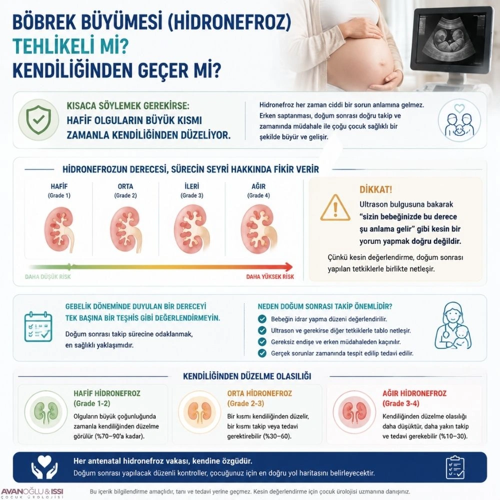 bebeklerde-bobrek-buyumesi-nedenleri-