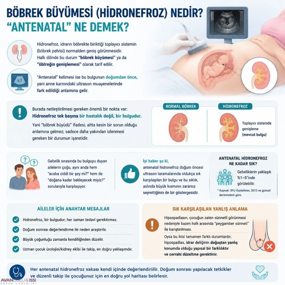 Bebeklerde böbrek büyümesi