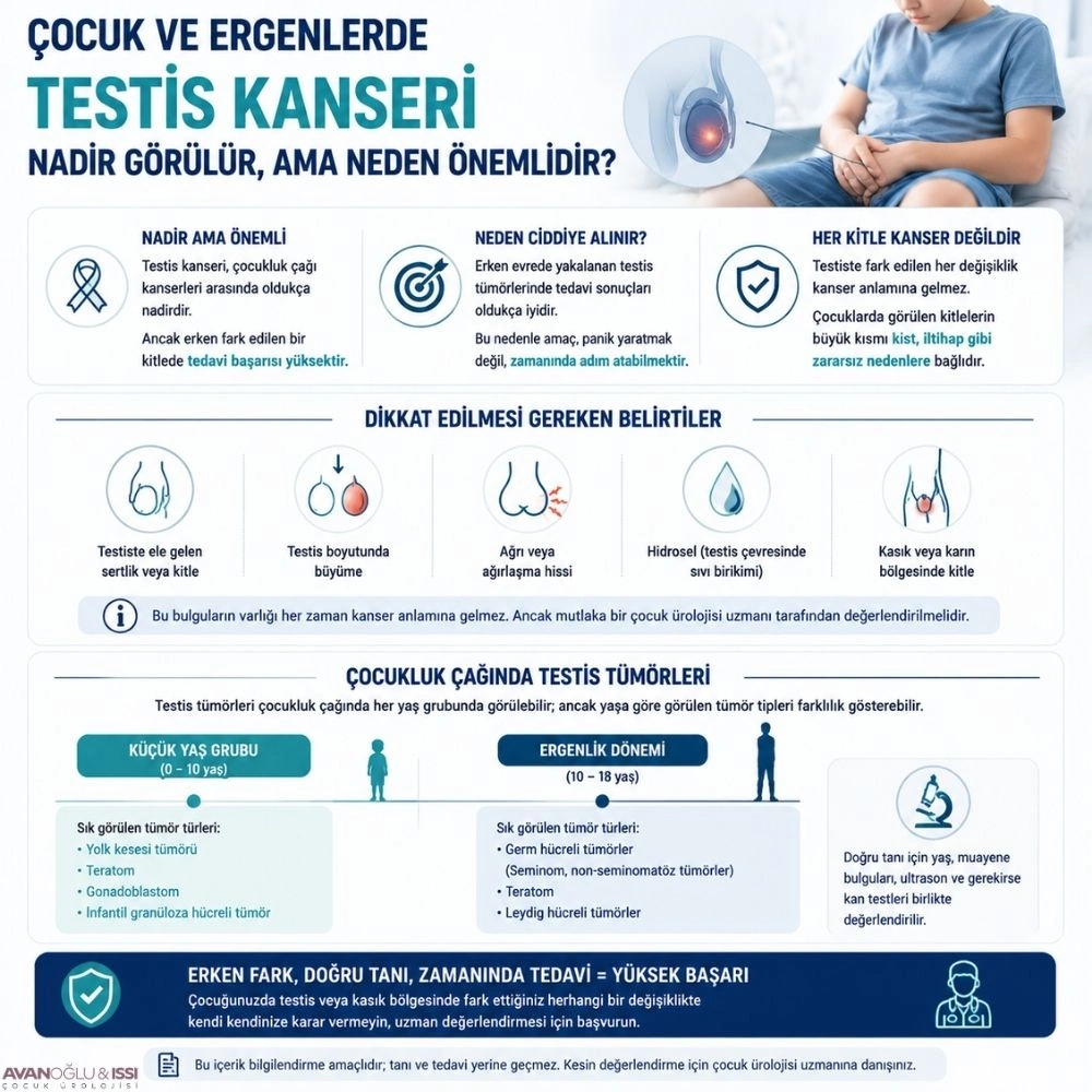 Testis kanseri belirtileri