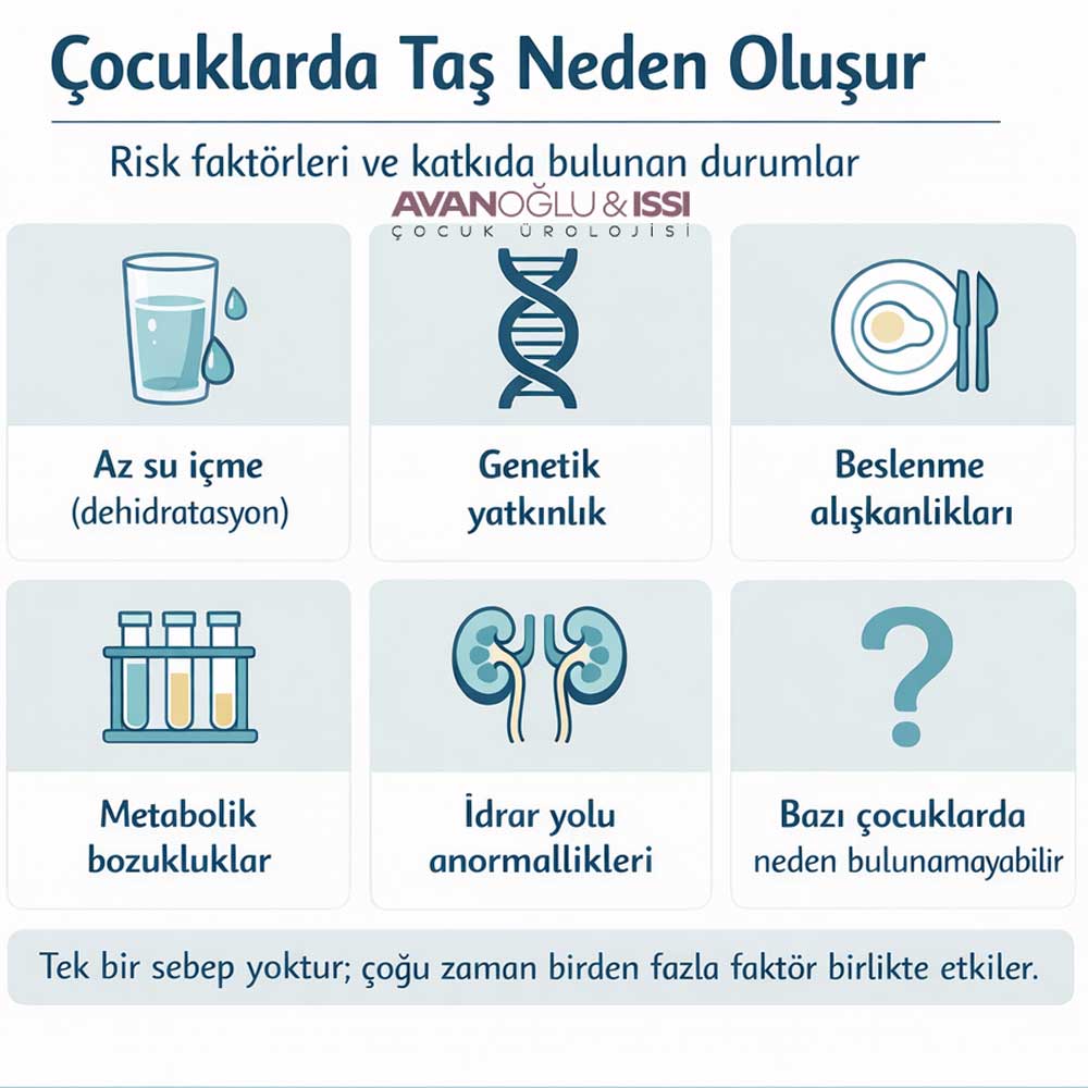 Üriner Sistem Taş Hastalığı en iyi tedavi izmir