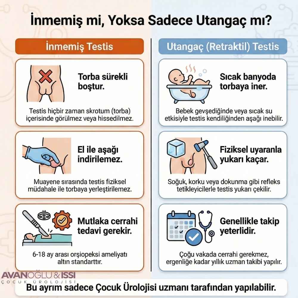 İnmemiş testis Nasıl anlaşılır