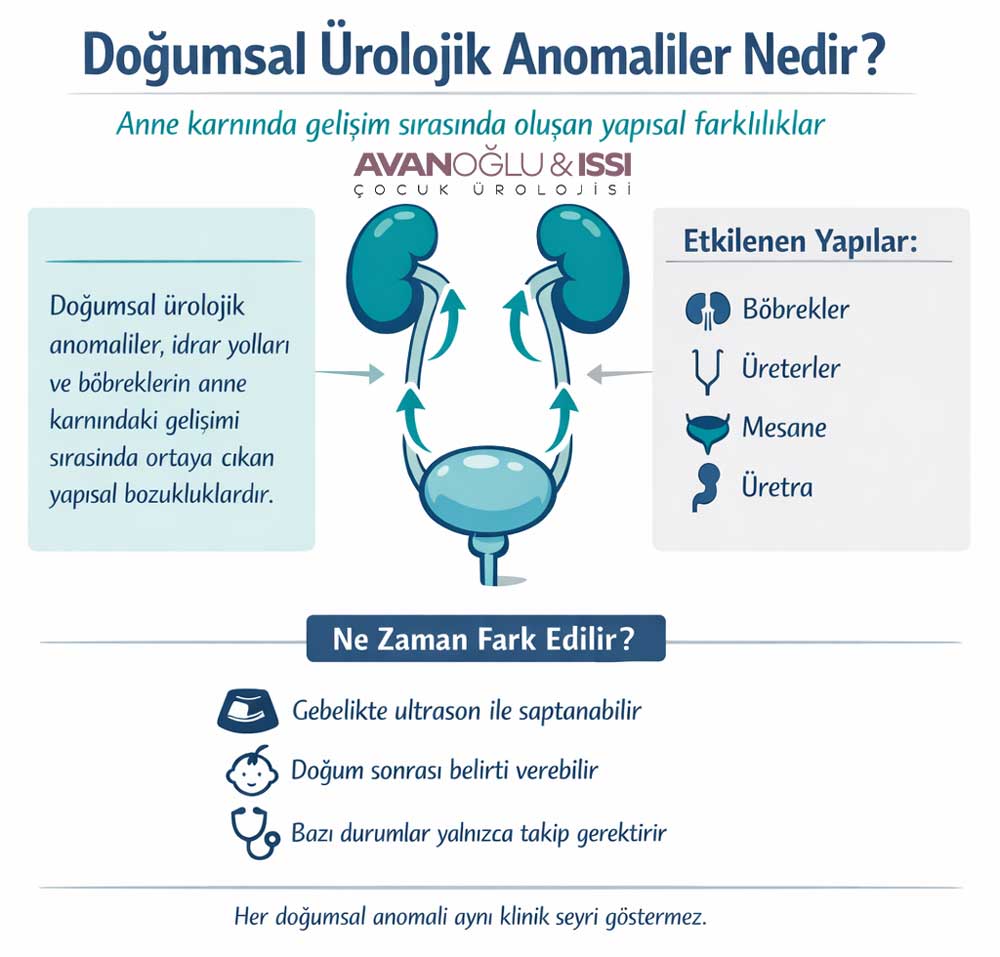 bebeklerde böbrek reflüsü izmir