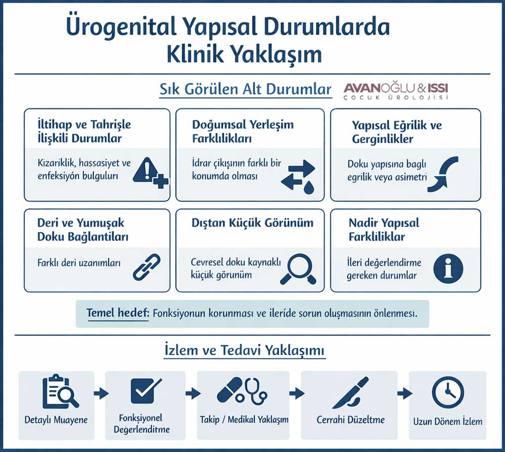 penis-egriligi izmir